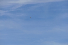 P1210793