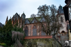 MUR00355