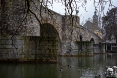 MUR_0286