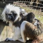 Bilder vom Vogelpark